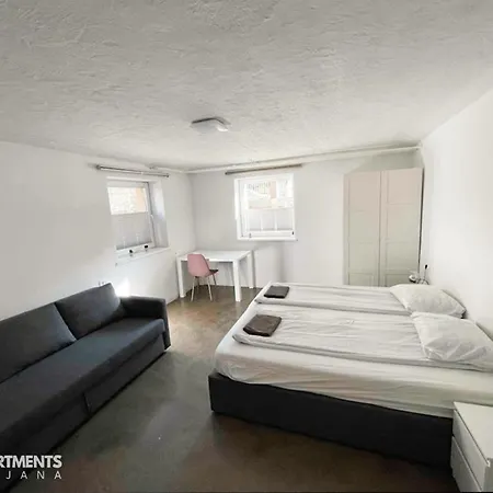 Huge Bbq Garden 1, Basement App Two Bathrooms, Ac, Free Parking Apartment