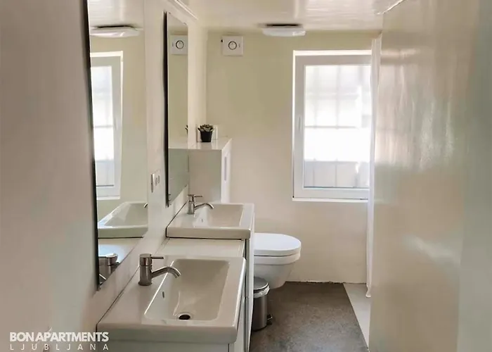 Huge Bbq Garden 1, Basement App Two Bathrooms, Ac, Free Parking * ليوبليانا